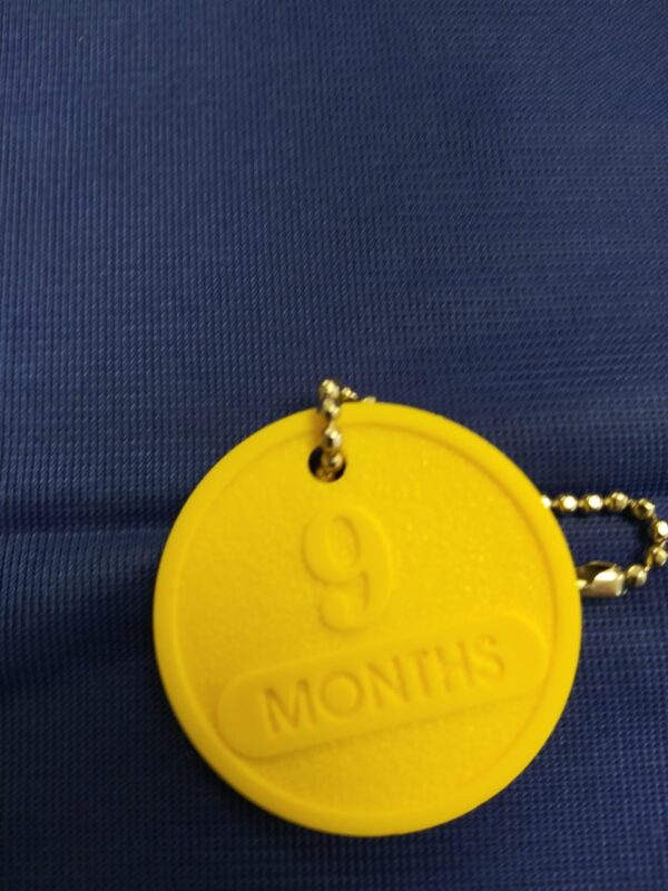 9 Month Chip