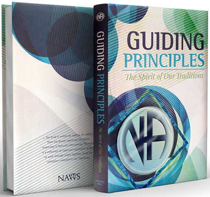 Guiding Principles - Hard Cover