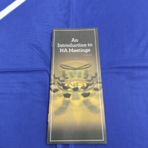 #29 An Introduction to NA Meetings