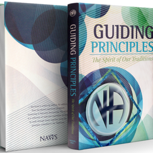 Guiding Principles Soft Cover